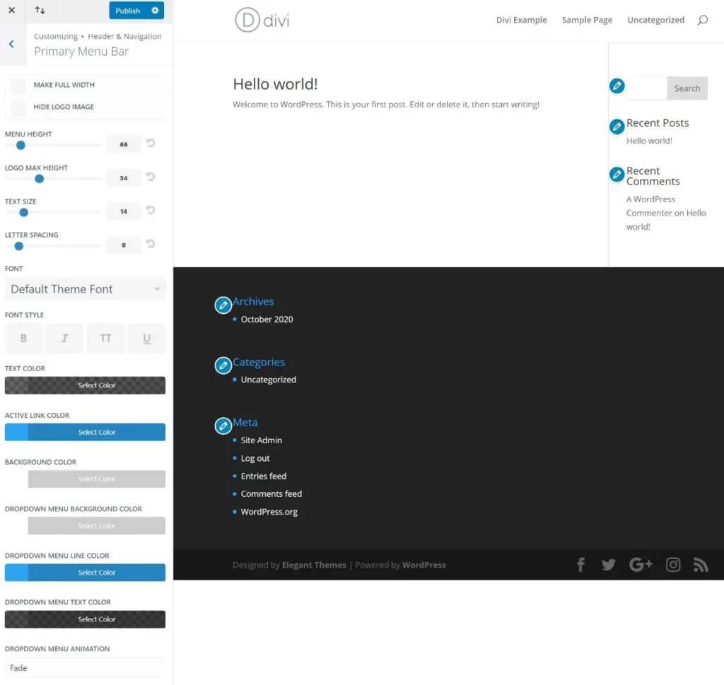 Divi theme customizer