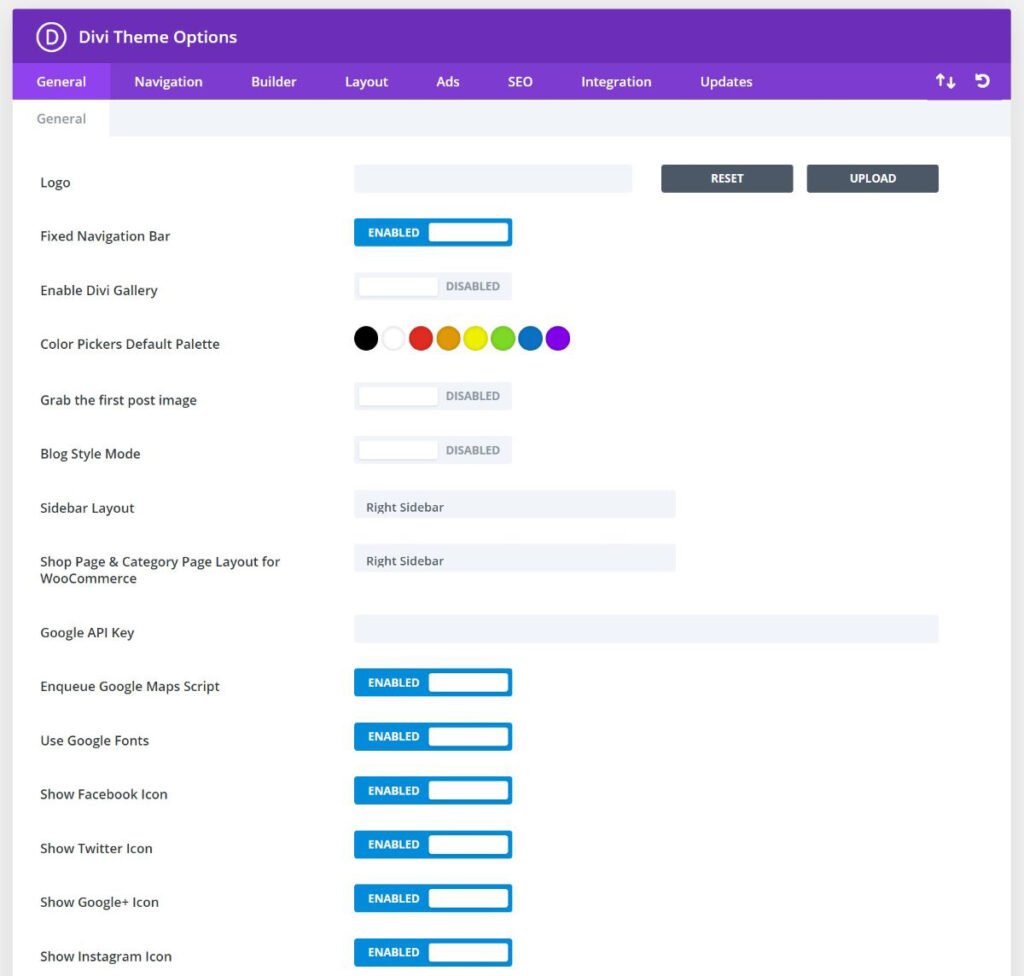 Divi theme options