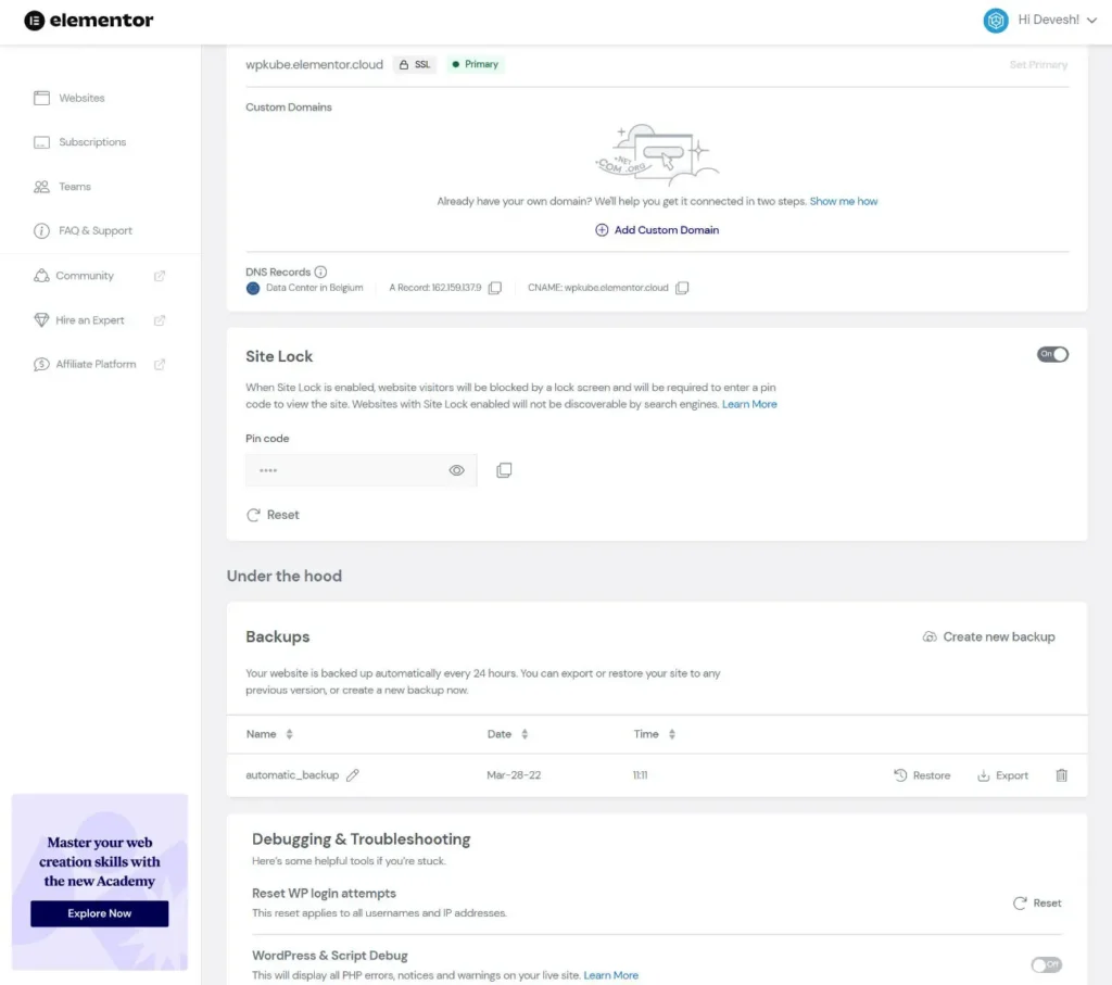 Elementor cloud website review