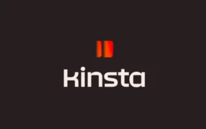 Kinsta review