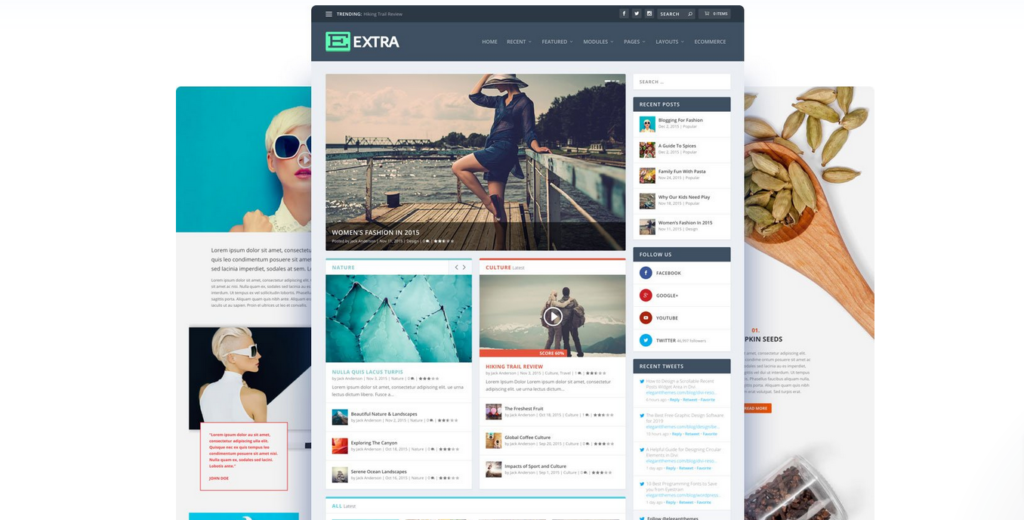 Elegant Themes review - Extra