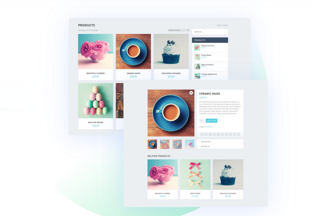 Elegant Themes review - Extra
