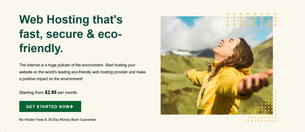 GreenGeeks Hosting Review