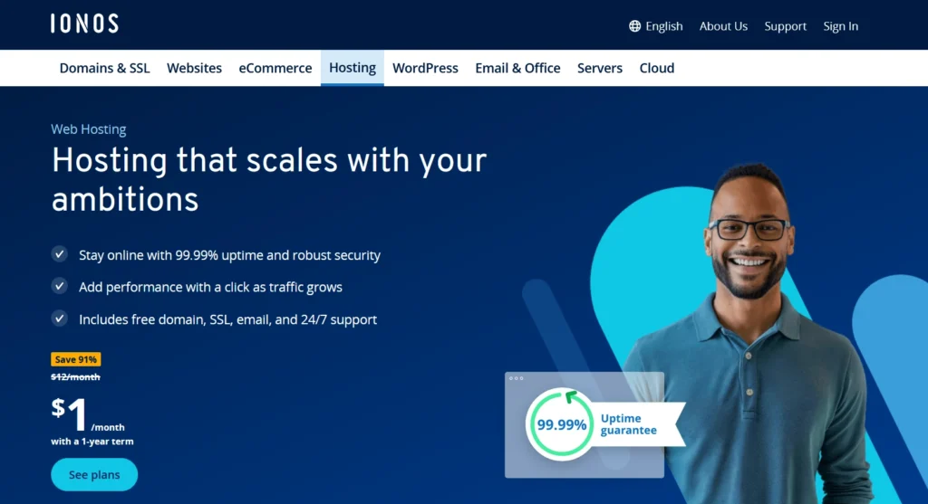 Ionos Hosting review
